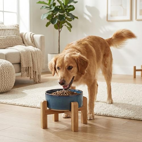 Elevated Ceramic Dog Bowl with Bamboo Stand (Deep Blue / 3.6Cup)