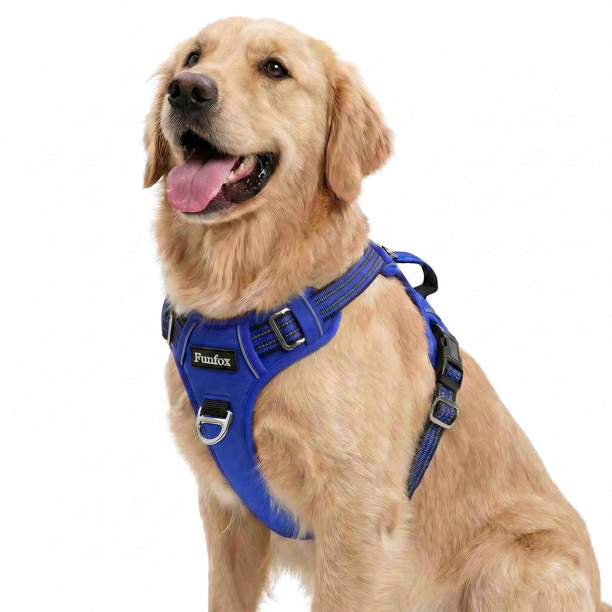 Dog Harness for Large Dogs (Blue / Large)