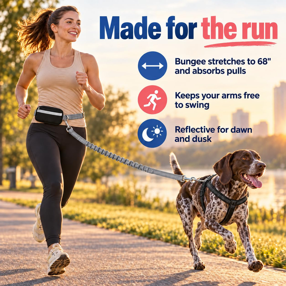 Dog Running Leash Hands Free (Silver)