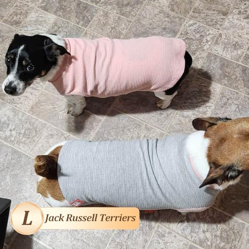 2Pack Waffle Dog Shirt for Small Dogs Solid Dog Sweater Tank Top (Large (12-18lbs) / 2Pack(Pink+Grey))
