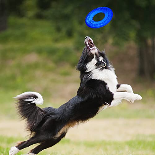Dog 10in Enhanced Translucent TPR Tire Flyer