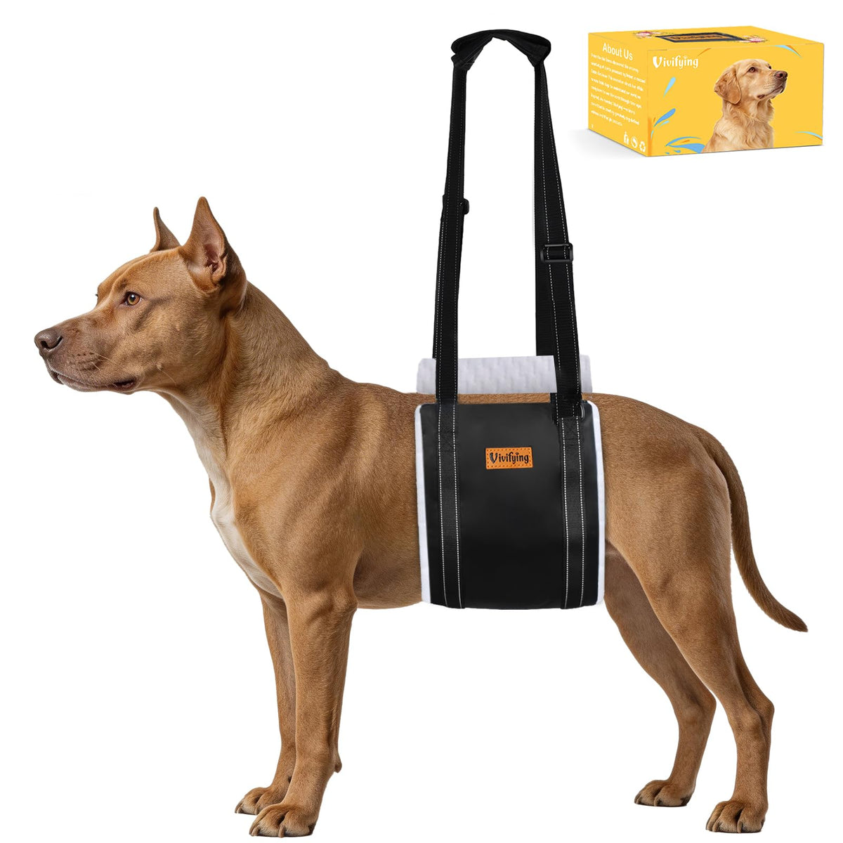 Dog Lift Harness (M)