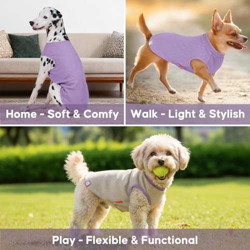 2Pack Waffle Dog Shirt for Small Dogs Soft Dog Sweater Tank Top (Medium (7-11lbs) / 2Pack(Purple+Grey))