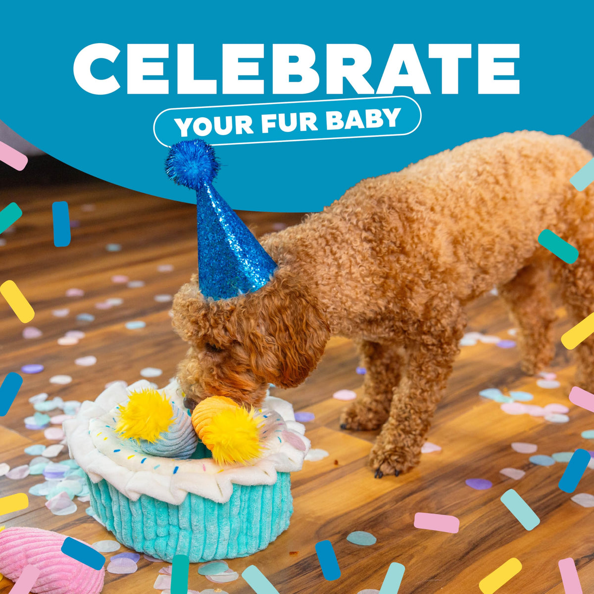 Hide-A-Birthday-Cake Plush Squeaky Dog Toy, 7.5" x 4.7"