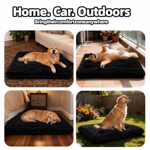 Dog Bed Large Size (Black / 35"L x 23"W x 4"Th)