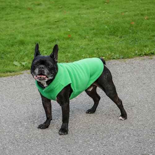 Dog Fleece Vest Sweater with Leash Ring (XL (17-25lbs) / Green)