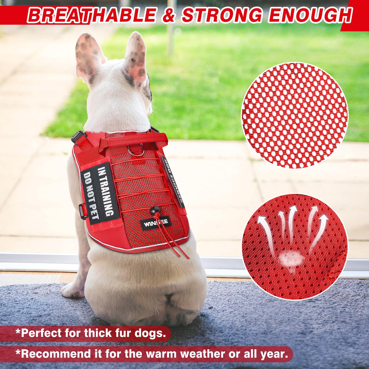 Service Dog in Training Mesh Harness with 10 Removale Pet Patches (X-Large / Red)