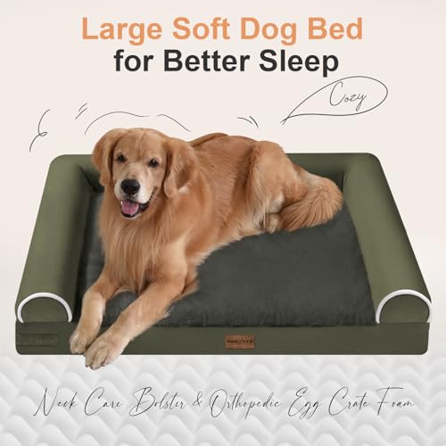 Orthopedic Dog Bed for Large Dogs (Dark Green / 38.0"L x 25.0"W x 6.5"Th)