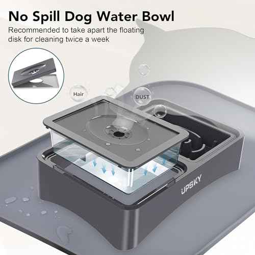 3-in-1 Elevated Dog Bowls Set with 4 Height Adjustable Stand and Mat (N-3 in 1 with Mat (Grey))