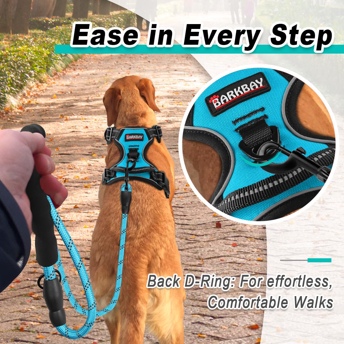 Dog Harness for Small Sized Dog No Pull 2 Leash Clips Dog Vest (Blue / Small)