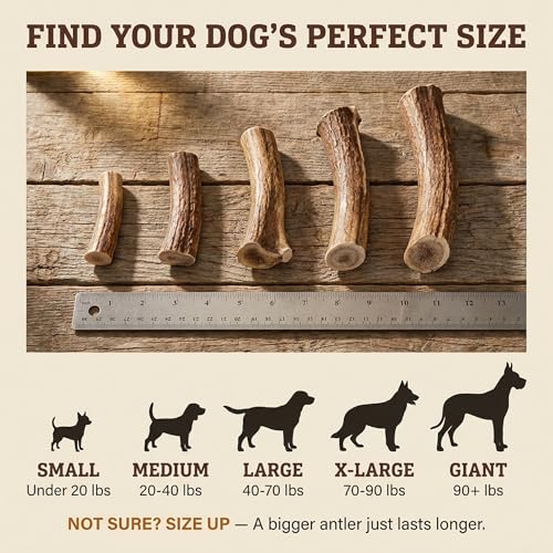 Deer Antler Dog Chew (X-Large (Dogs 65-85 lbs))