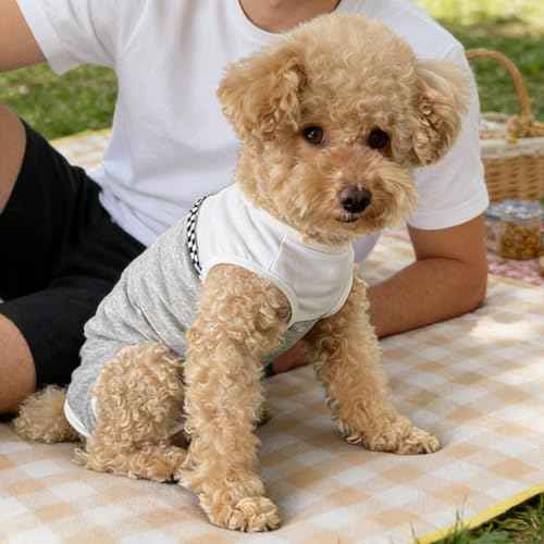 Dog Surgical Suit (XX-Small / grey and white)