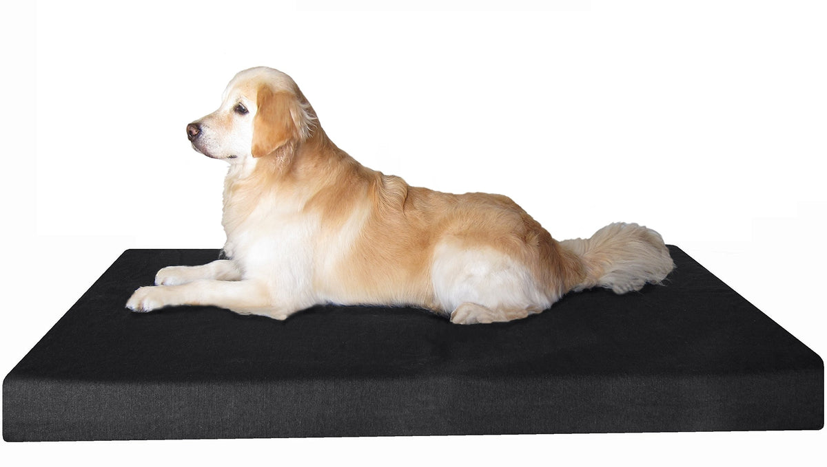 Extra Large Orthopedic Gel Infused Cooling Memory Foam Dog Bed (XXL 55" Length X 37" Width / Canvas in Black)