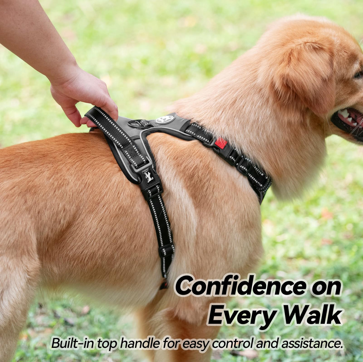 No Pull Dog Harness Medium with Front Clip & Neck Release Buckle (Medium / Grey)