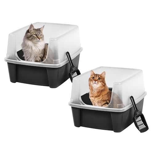 High Sided Cat Litter Box (Large - 2 Pack / Black)