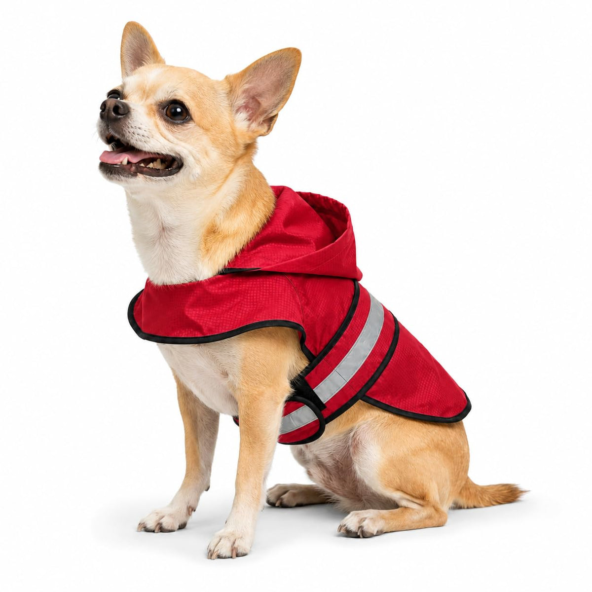 Dogg Toggs Raincoat (Red / X-Small)