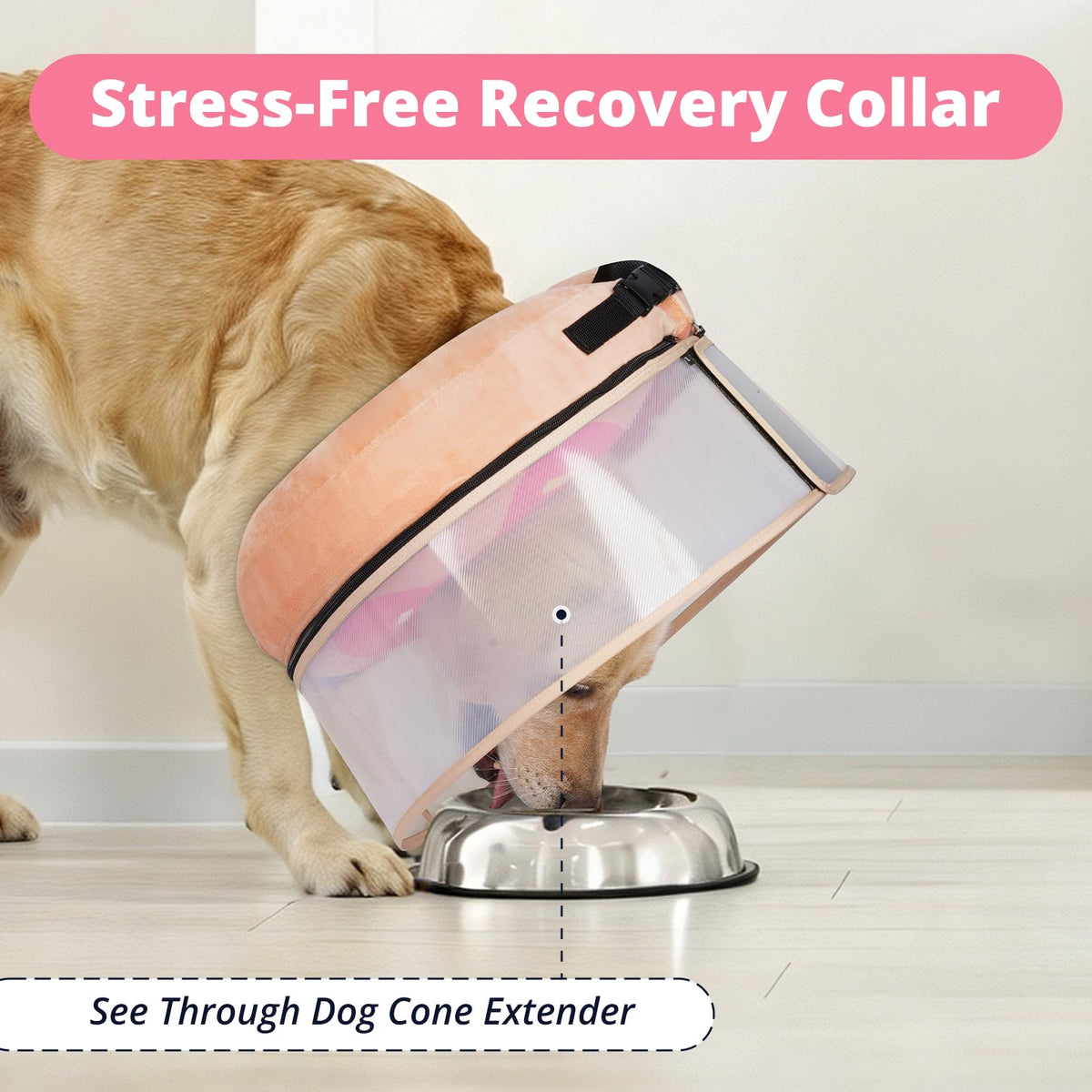 Inflatable Dog Cone with Anti (M (Neck: 8"-11"))