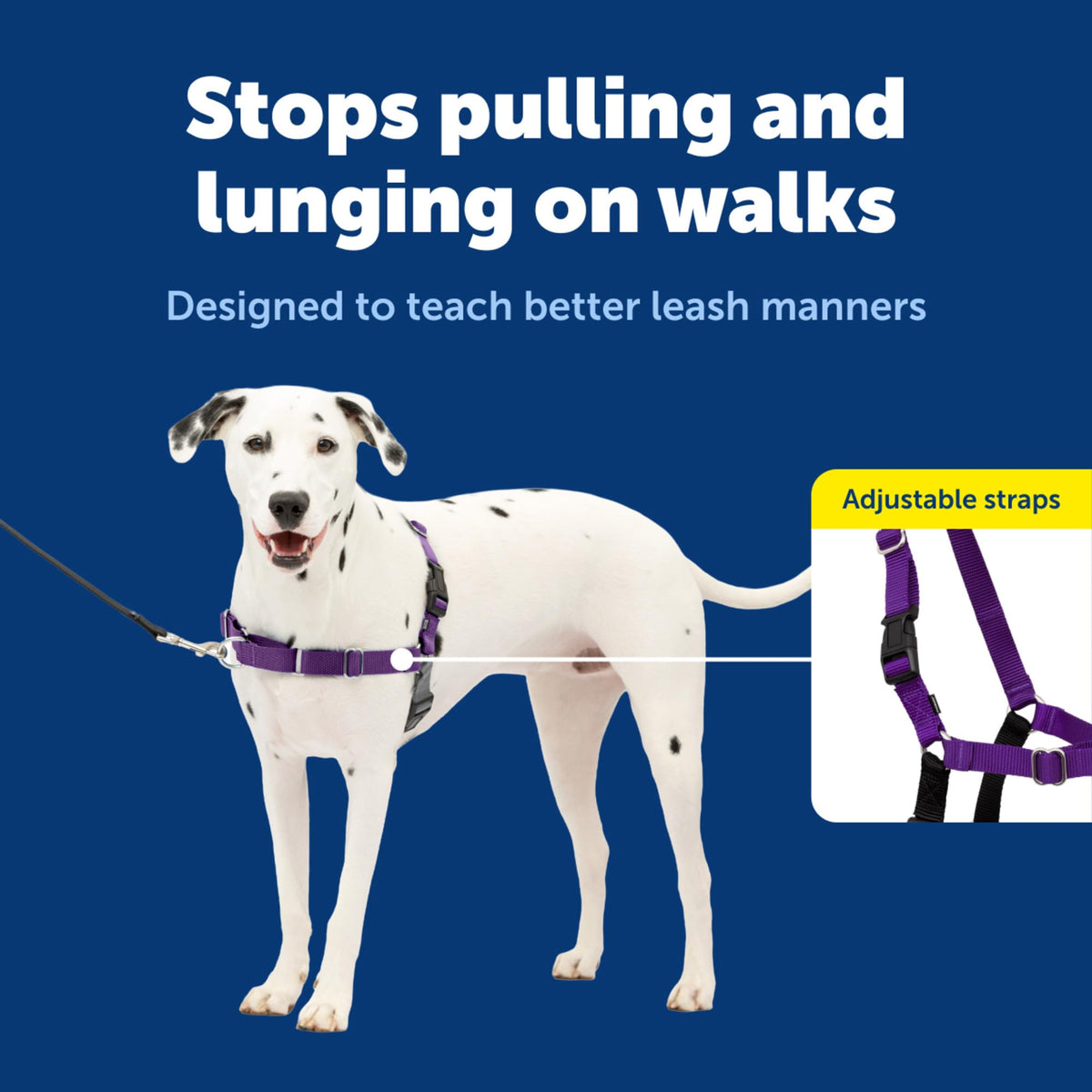 Easy Walk Harness (Medium/Large / Black)