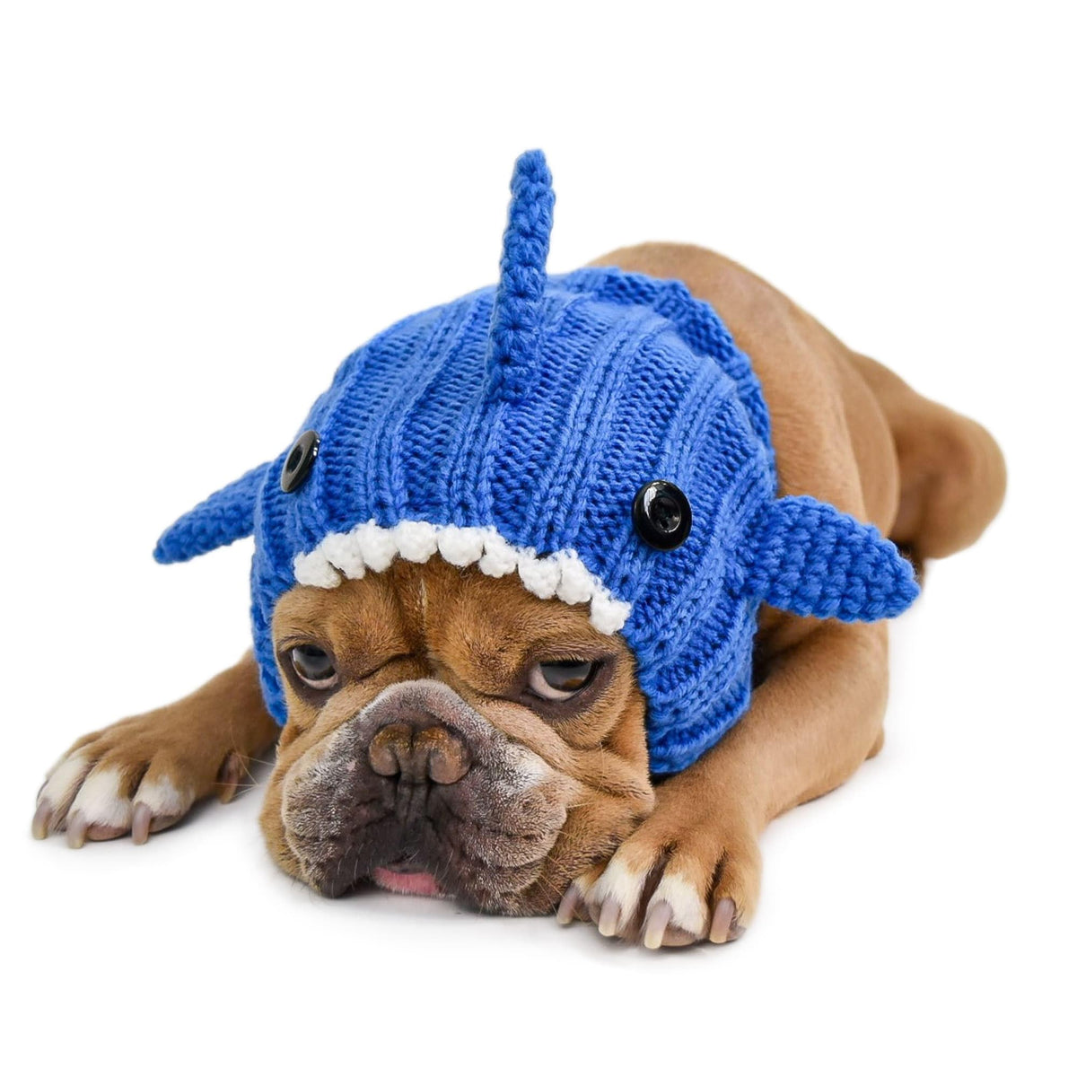 Blue Shark Costume (Medium / Blue)