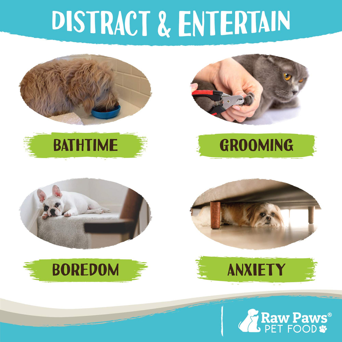 Licking Mat Bowl for Dogs with Suction