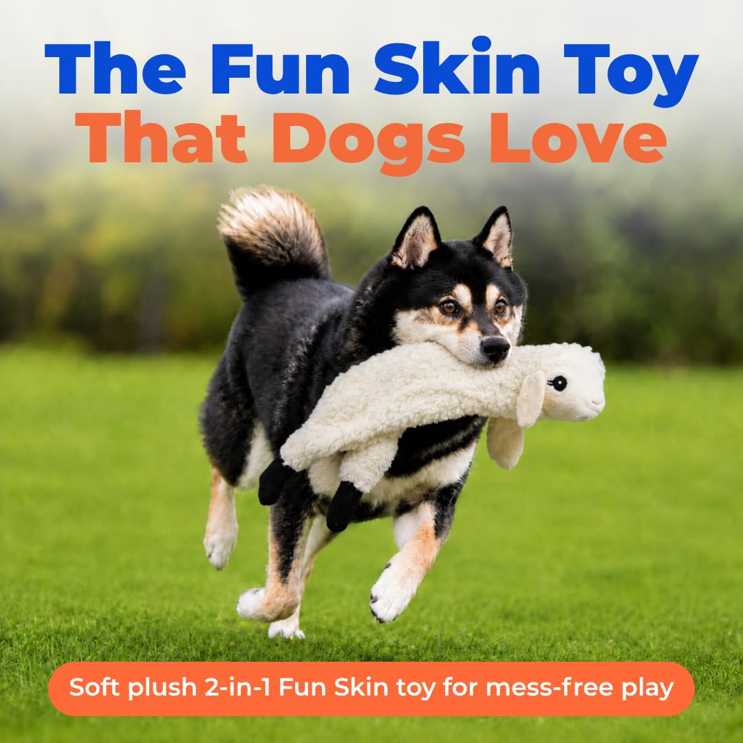 2-in-1 Stuffless Squeaky Dog Toy - Sheep, Medium (Grey/Sheep / Medium)