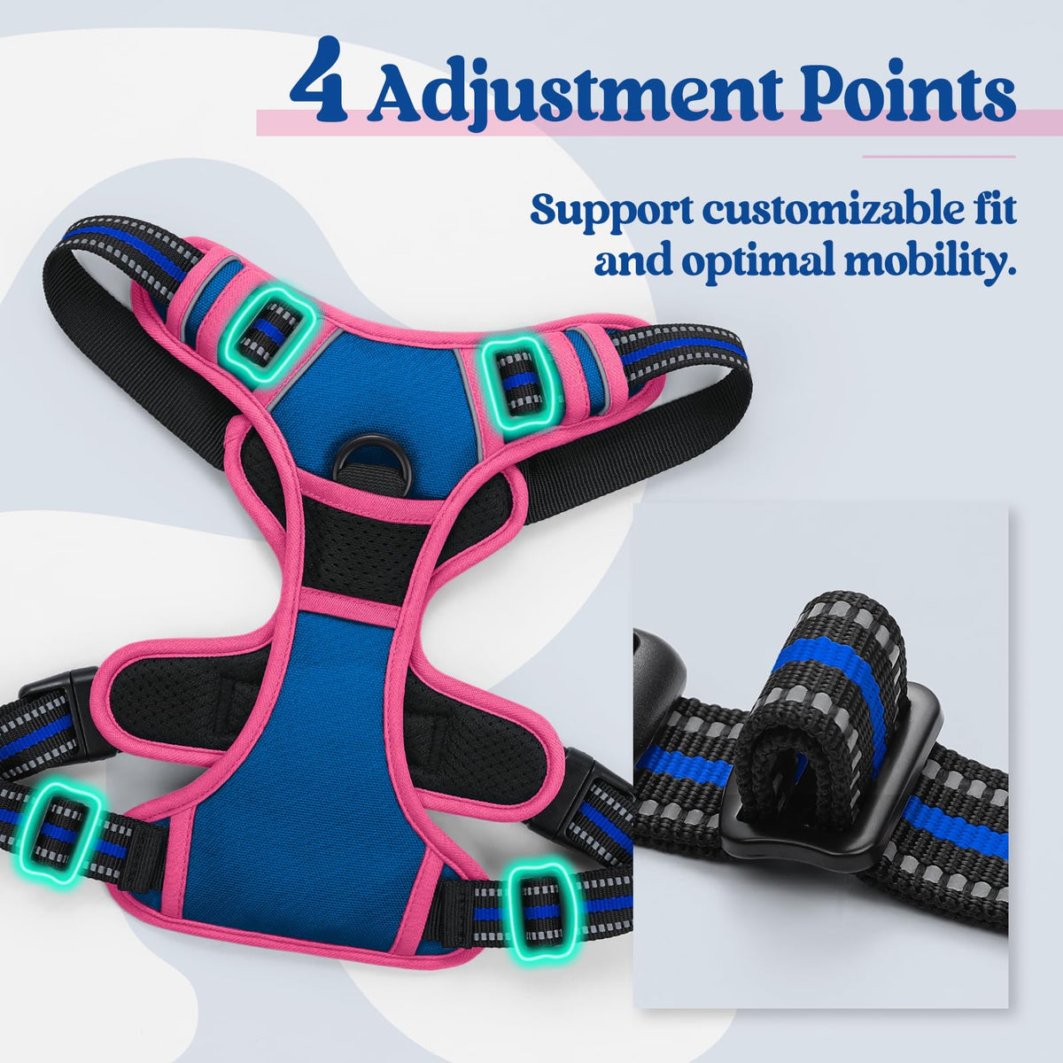 Dog Harness No Pull for Small Dogs with 2 Leash Clips (Blue & Hot Pink / Small)
