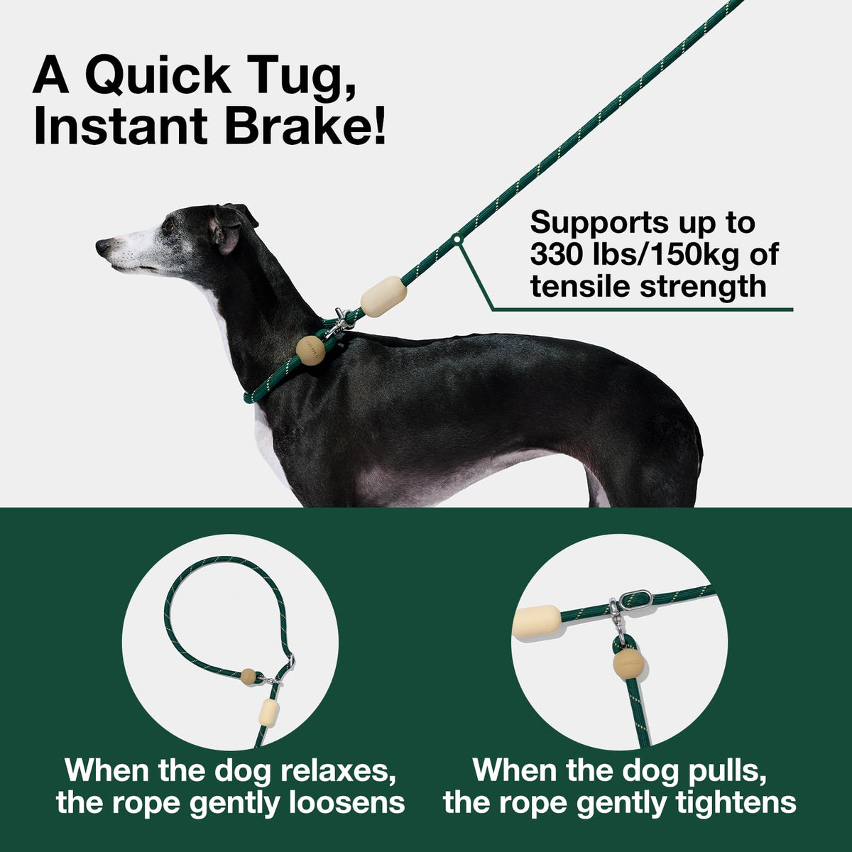 Hands Free Dog Leash (Santal Forest Green)