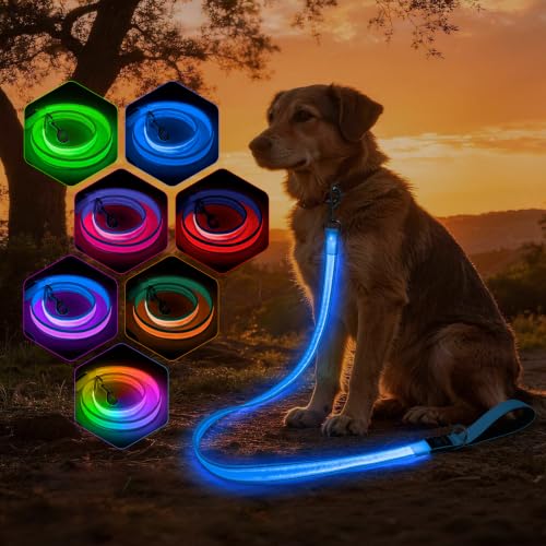 Light Up Dog Leash