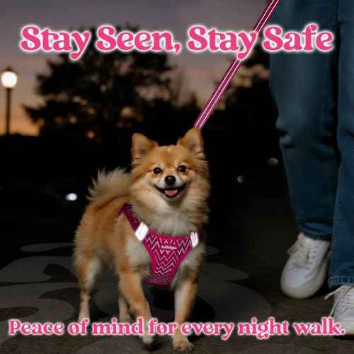 Dog Harness Small Sized and Leash Set (Rose Red Wave / S (Chest: 15.1"-16.5"))