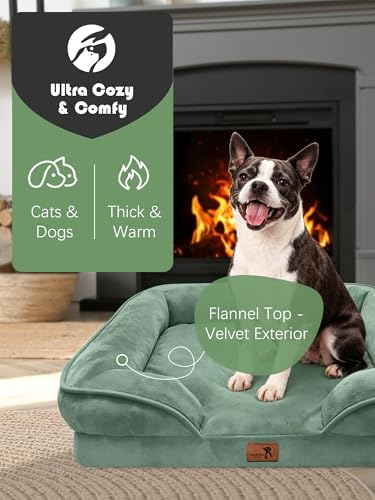 Orthopedic Dog Bed with Sides (24.0"L x 18.0"W x 6.0"Th / Green)