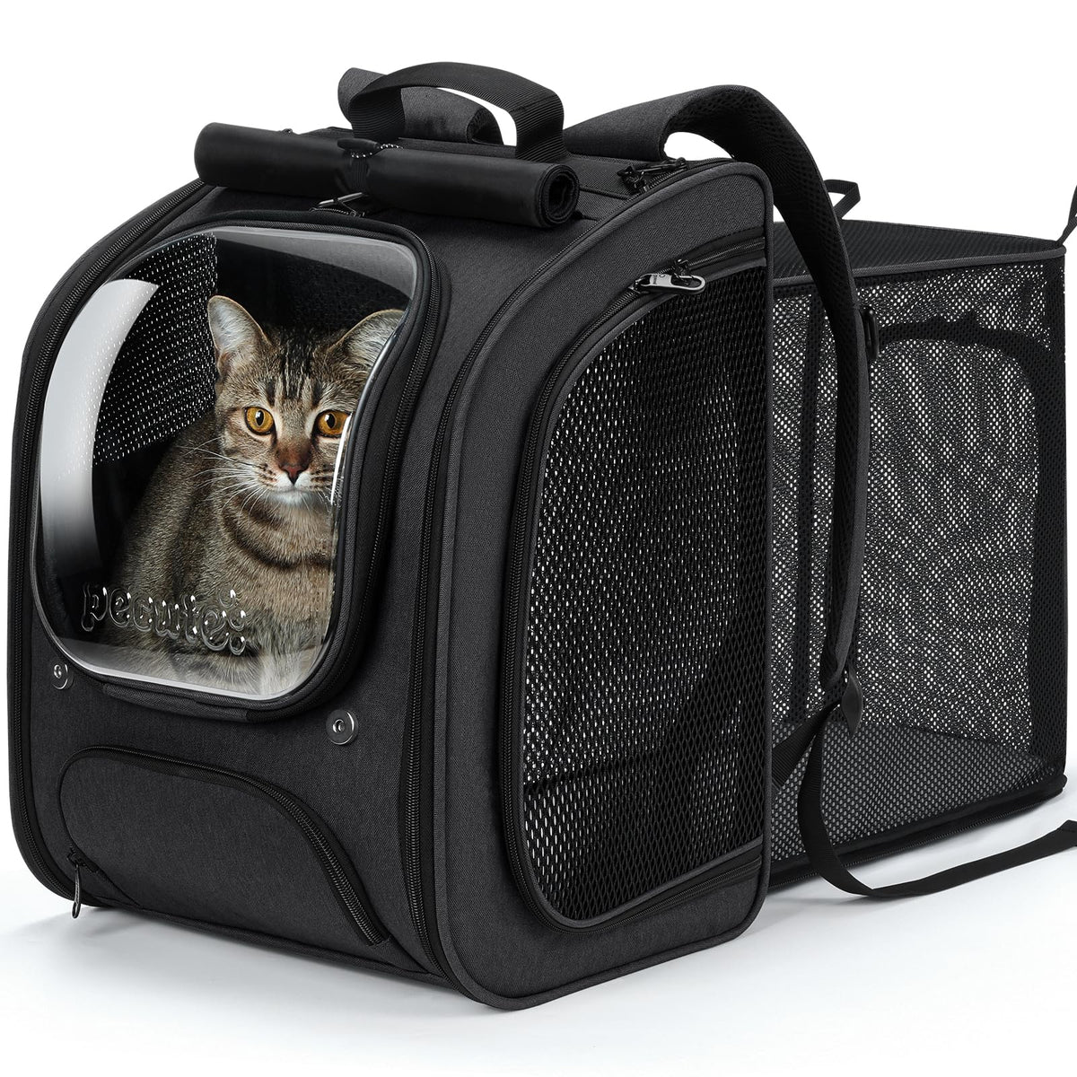 Cat Backpack Carrier (Black (Expandable) / 12.6"L x 10.2"W x 16.5"H)