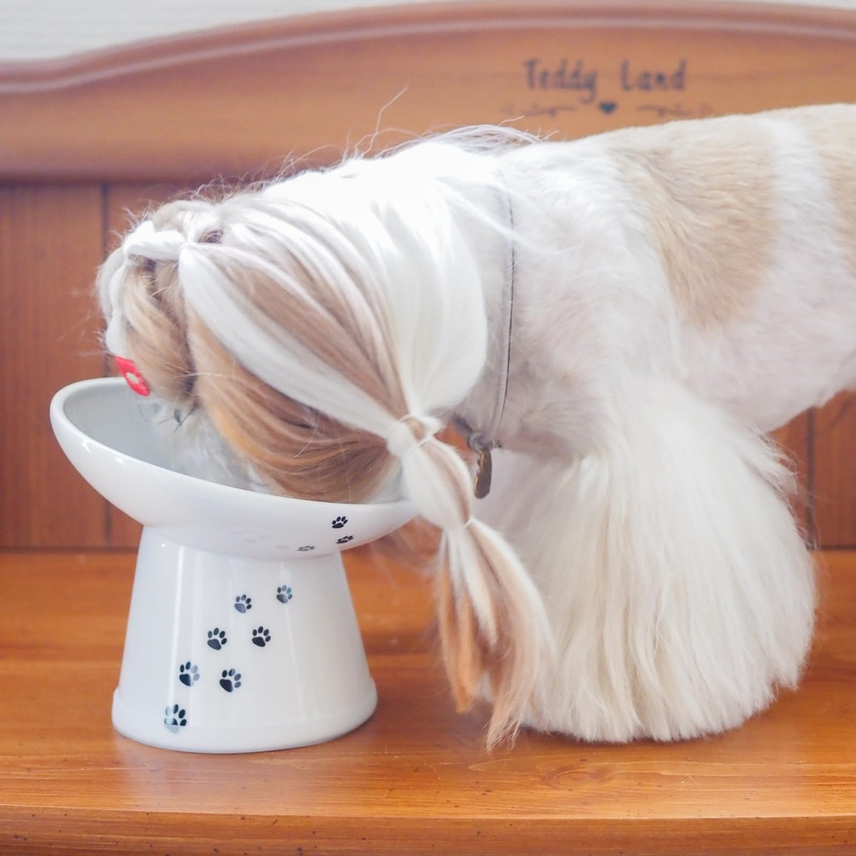 Necoichi Raised Dog Food Bowl (Extra Wide (Pack of 1))