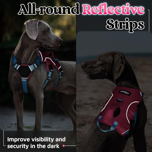 Escape Proof Dog Harness for X (Sky & Peach & Rose / X-Large)