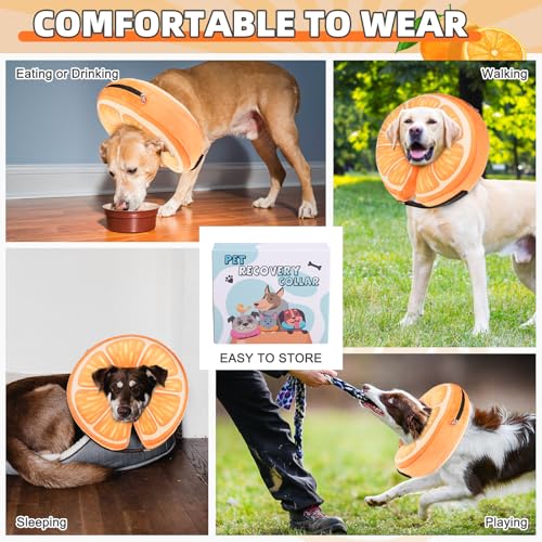Inflatable Dog Cone Collar Alternative After Surgery (Orange / M+ (Neck:13-15in))