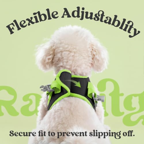 Dog Harness Small Sized and Leash Set (Black & Green / L (Chest: 18.2"-20.5"))