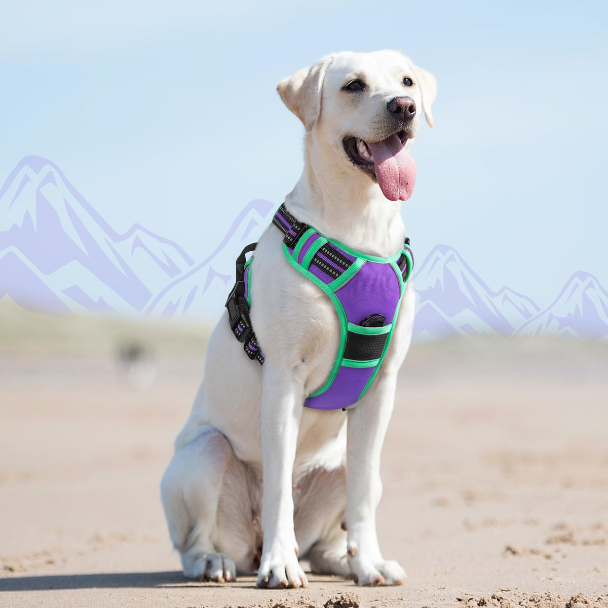 Dog Harness for Large Dogs (Large / Purple & Turquoise)