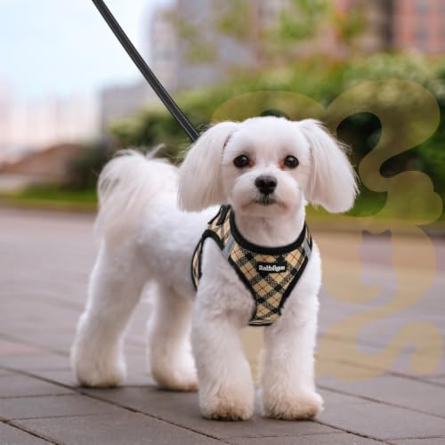 Dog Harness Small Sized and Leash Set (Beige Plaid / M (Chest: 16.0"-18.5"))