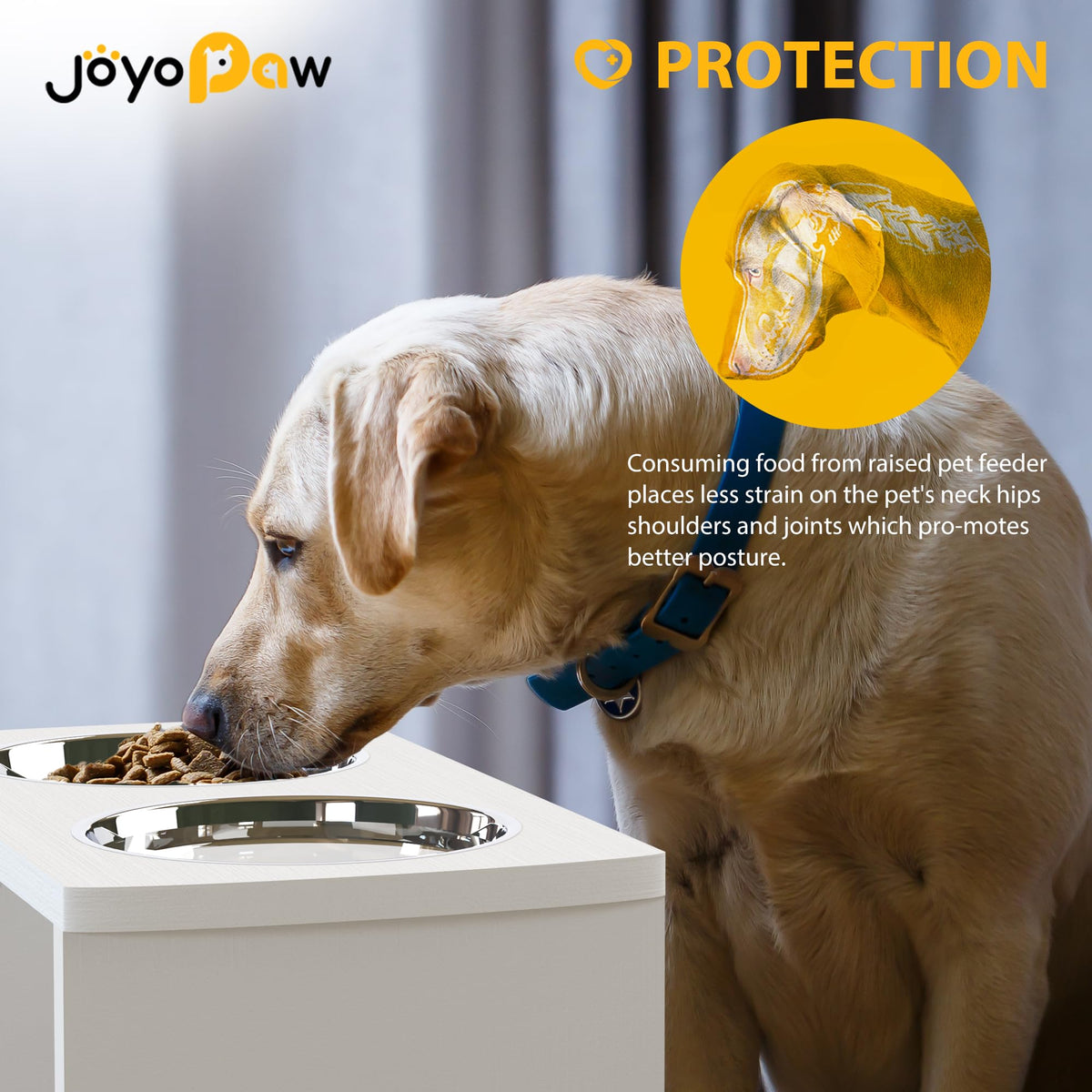 Elevated Dog Bowls (White / Large: 10'' Tall-48oz Bowl)