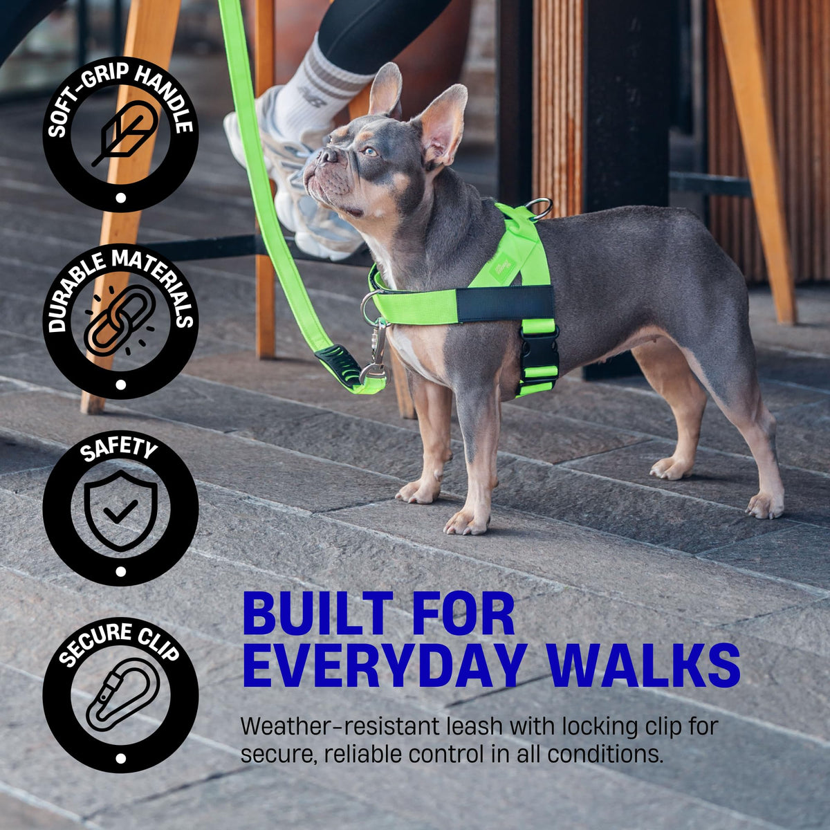 Classic Dog Leash for Daily Walks (Orange / Regular)