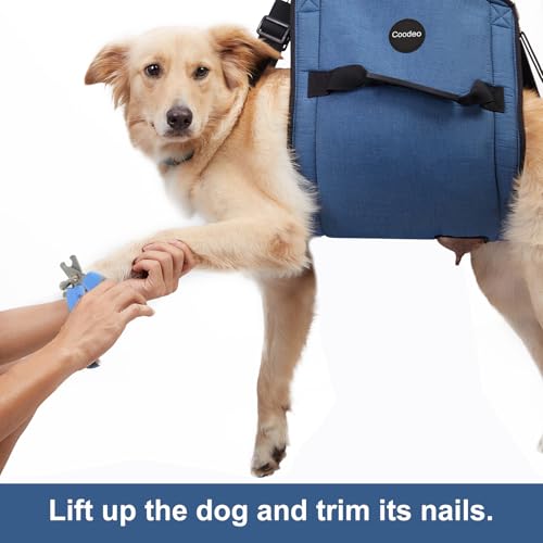 Dog Carry Sling (X-Large / Blue)