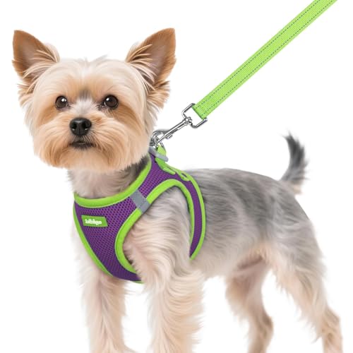 Dog Harness Small Sized and Leash Set (Purple & Green / XS (Chest: 13.3"-15.5"))