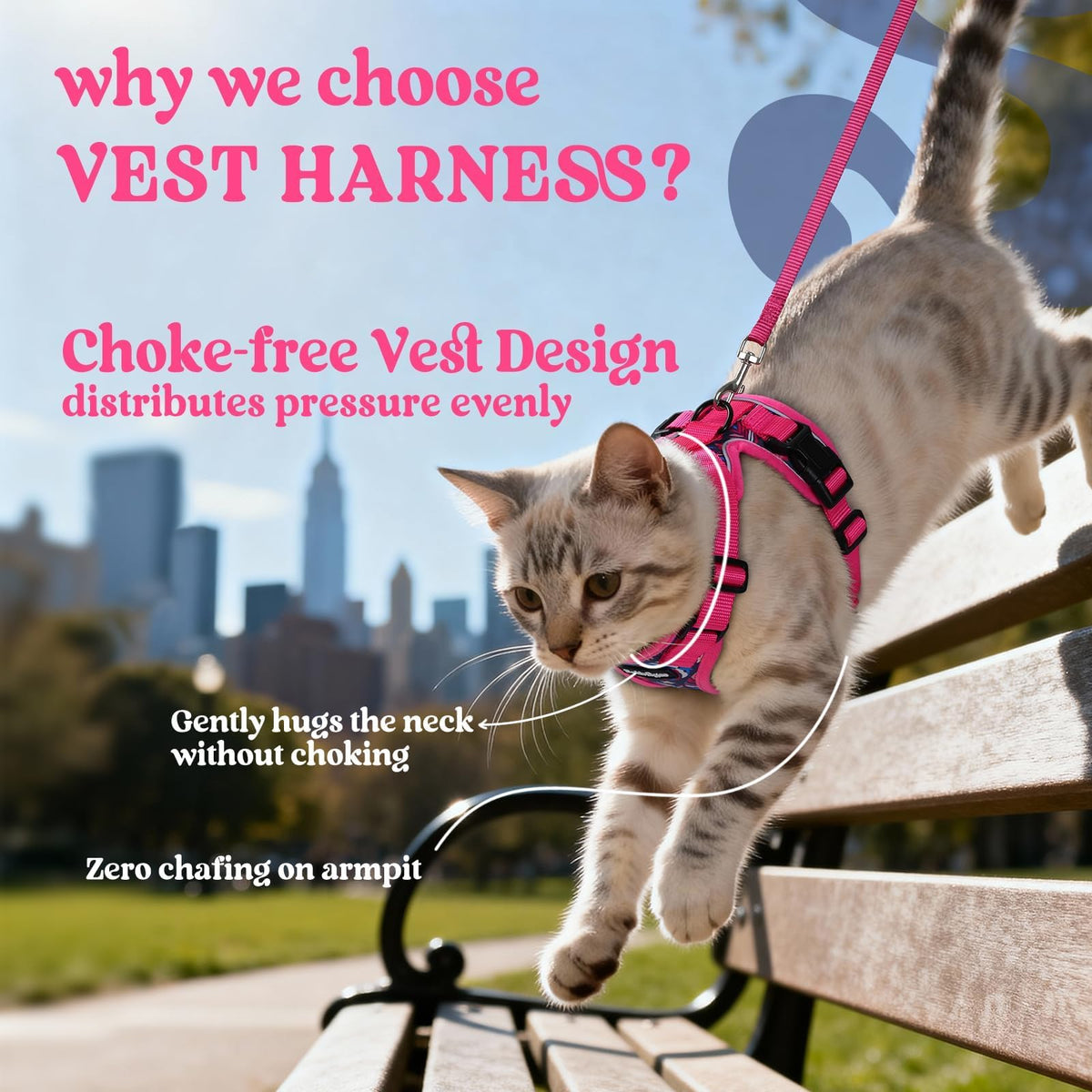 Cat Harness and Leash Set (Xs / Coconut Fuchsia)