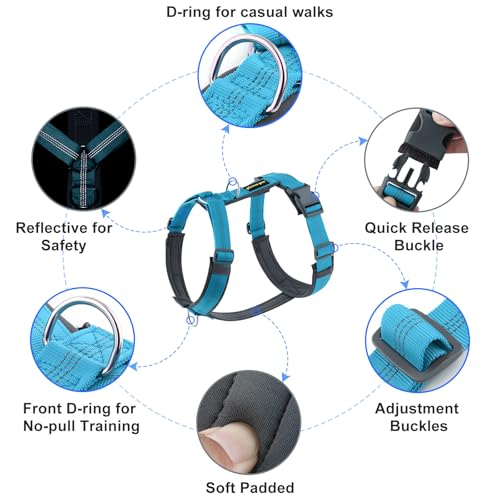 No Pull Dog Harness (M / Cyan)