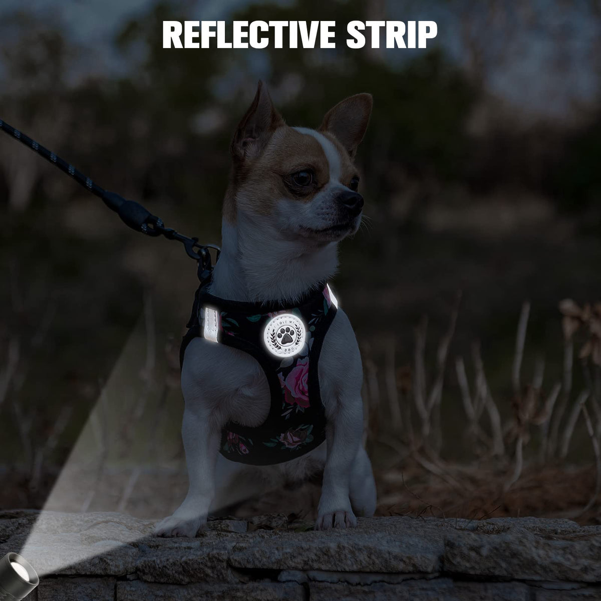Small Dog Harness and Leash Set (Small(Chest Girth 14.5" - 16") / Black Rose)