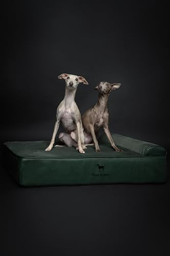 Large Dog Bed (Vegan Leather - Green / Large)