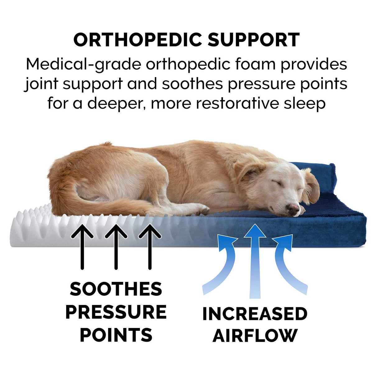 Orthopedic Dog Bed for Large (Large / Deep Sapphire)