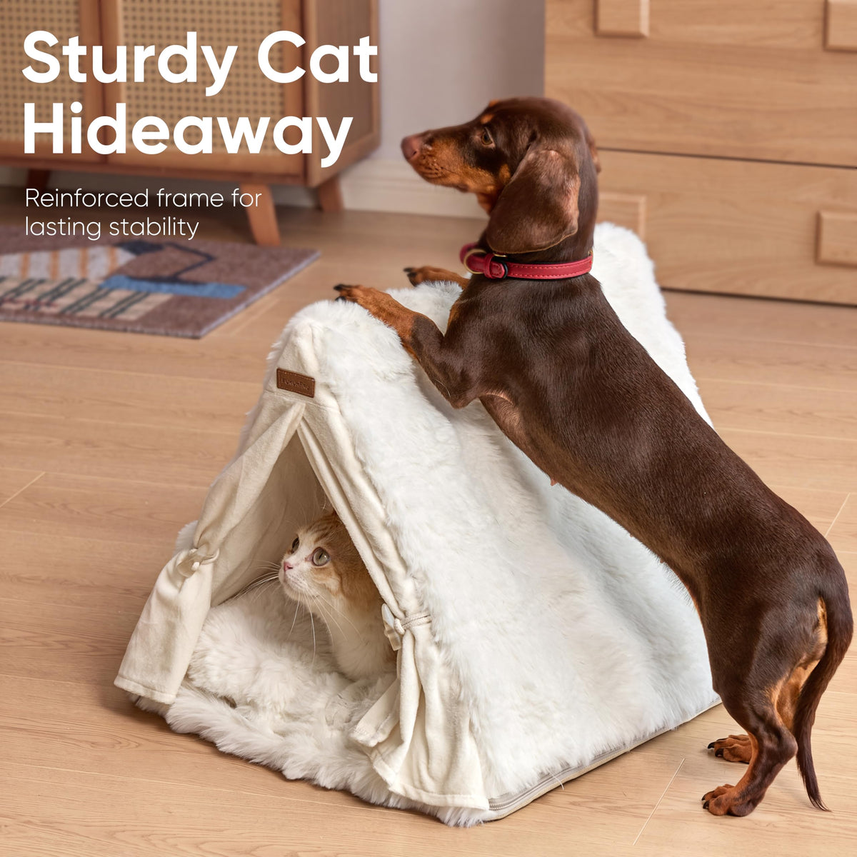 Cat Cave Bed Sturdy Frame Washable Cat Tent Bed with Curtain (Cream / 20"L x 20"W x 17"Th)