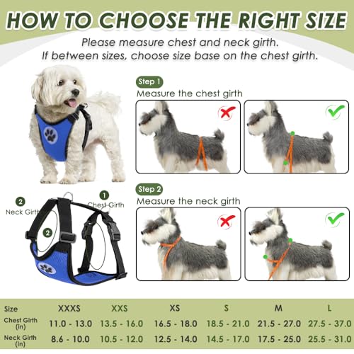 Dog Seat Belt and Harness for Car (Blue / Medium)