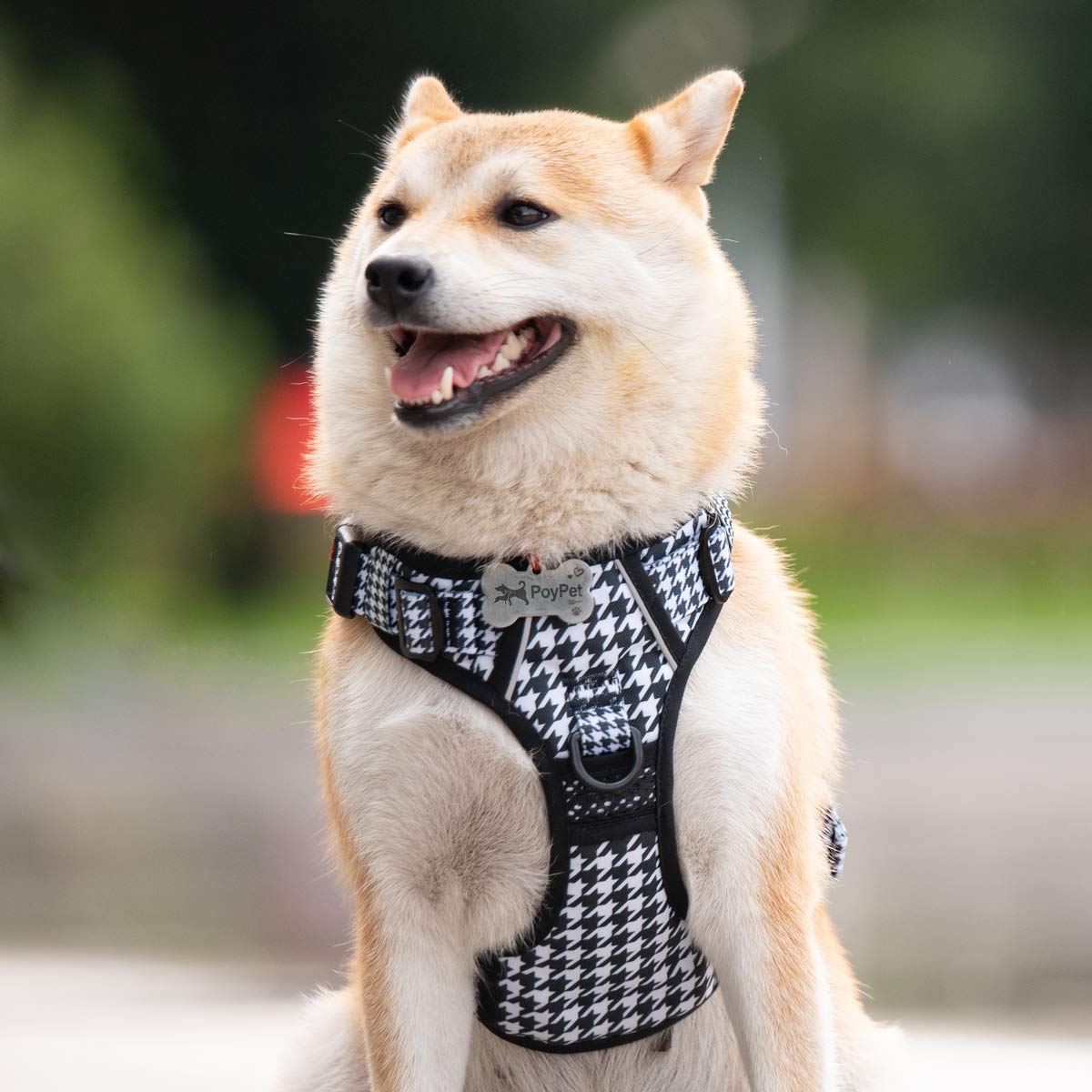 Plaid Dog Harness Medium (Medium / Houndstooth)