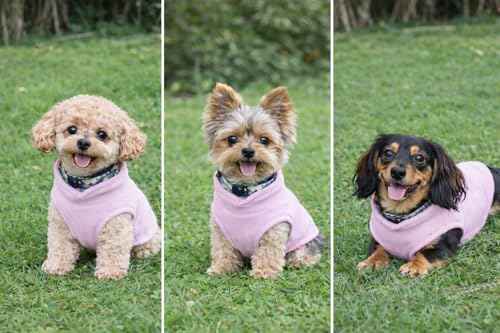 Dog Fleece Sweater w (L (10-16lbs) / Pink Lemonade)